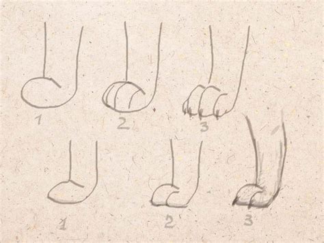 When drawing animals, fry to gel variety in leg positions. How to Draw a Dog (Realistic easy Step by Step any Poses)