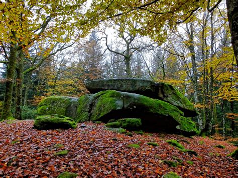 Maybe you would like to learn more about one of these? Paysages du Morvan 2 - www.lemorvanenphoto.com