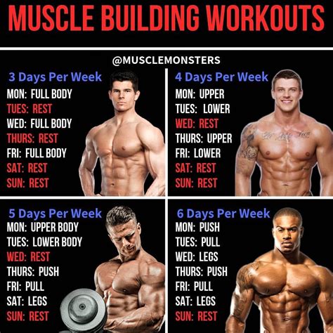 Best full body workout plan. Total Body Workout Plan Using Only A Barbell - 15 The Best ...