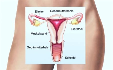 Reagiert der im ausland lebende ehegatte trotz mehrfacher ins ausland zugestellter ladungen nicht bzw. Scheidenausfluss (Ausfluss) - Ursachen, Behandlung ...