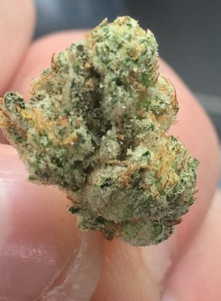 Wedding cake provides relaxing and euphoric effects that calm the body and mind. Wedding Cake | Marijuana Strain Reviews | AllBud
