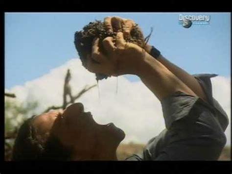 The fact that man vs. Bear Grylls drinking from elephant dung!! - YouTube