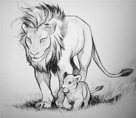 How to draw a lion easy step by step for beginners. 1001+ ideas And Inspiration On How To Draw Animals