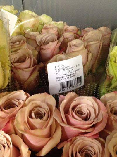 Danisa's wholesale fresh flowers, inc is a reliable and customer friendly source of fresh, long lasting flowers in bulk for your florist shop, wedding planning business or wholesale. Harvest Roses in NYC appears to sell the brown ones in ...