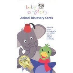 C) the baby walks at an early age. Baby Einstein Flash Cards