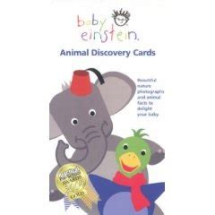 C) the baby walks at an early age. Baby Einstein Flash Cards