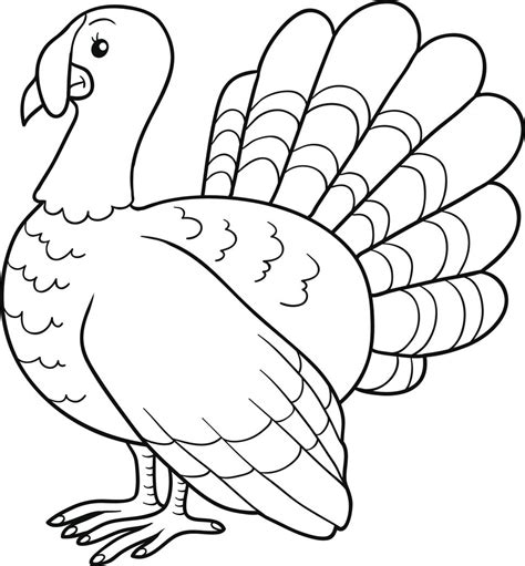 Fuzzy has over thirty turkey coloring pages. Colored Turkey Drawing at GetDrawings | Free download
