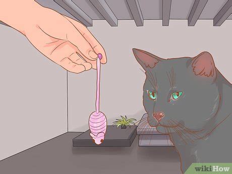 How to stop a cat from scratching bedroom door at night. How to Stop a Cat from Scratching the Door: 10 Steps