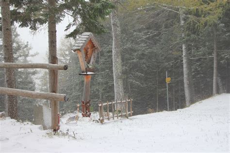 Weitere ideen zu schönen sonntag, sonntagsgrüße, sonntag. Die ersten Schneefotos vom Schneeberg - Neunkirchen