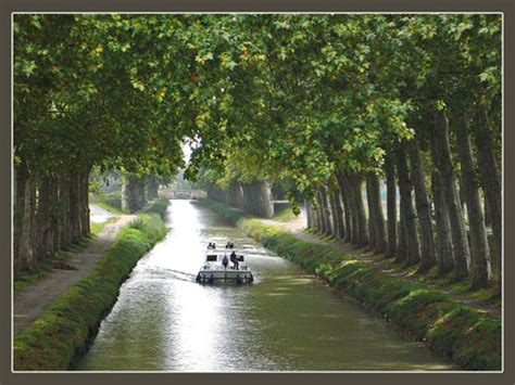 We did not find results for: Un paseo por el Canal del Mediodía, en Francia