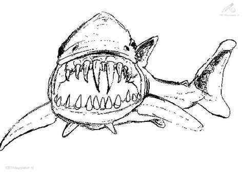 Maybe you would like to learn more about one of these? Hungry Shark Coloring Pages at GetColorings.com | Free ...