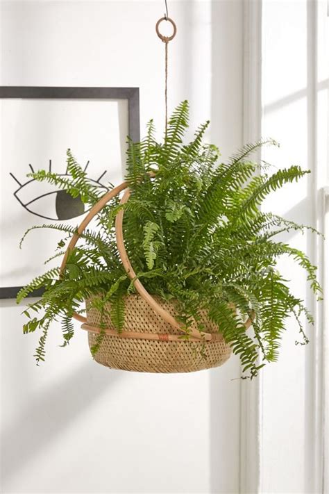 Shop indoor and outdoor plant holders such as hanging pots, rail planters and let your inner green thumb go all out with modern planters and flower pots. Margot 7" Hanging Planter | Hanging plants, Diy hanging ...