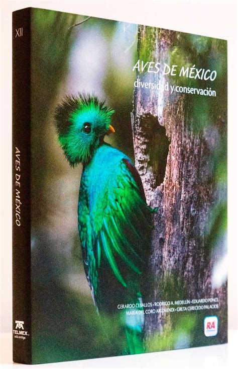 The town of ceballos is located in the municipality of mapimí (in the state of durango). Fundación Slim presenta libro Aves de México: diversidad y ...