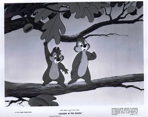 The world's favorite pair of chipmunks. Chip N Dale