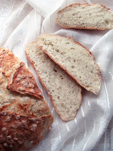 Don't expect a big rise when baking this bread, the absence of yeast will give it a more flatbread look and taste. Bread with cooked barley - easy yeast bread with barley in ...