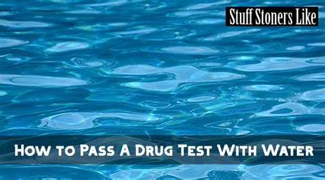 Apart from using fruit pectin to pass a drug test, there are some more ingredients required. How to Pass A Drug Test With Water - STUFF STONERS LIKE
