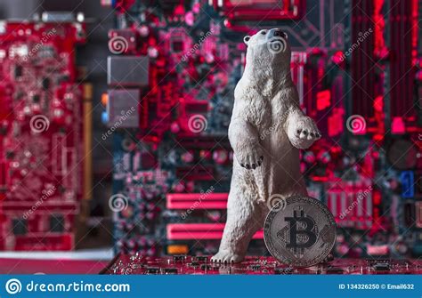 Cryptocurrency bear market versus a correction. Concept Of Bear Crypto Market Stock Photo - Image of ...
