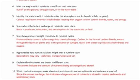 It will be easy for kids, the. 50 Nutrient Cycles Worksheet Answers | Chessmuseum ...