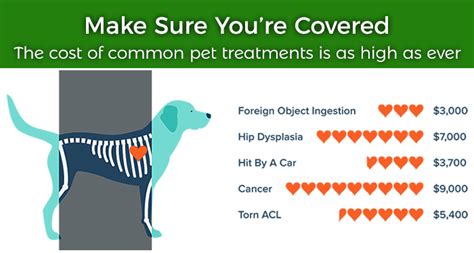 Do We Need Pet Insurance? - Anders, Ireland & Marshall, Inc.