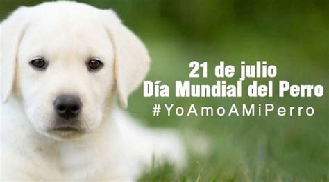 Éstos buscarán vengarse, aterrorizando a la familia y haciendo justicia de una forma terrible. 21 de julio: Día Mundial del Perro, ¿por qué se celebra hoy?