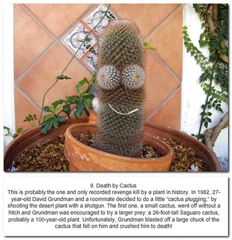 Rising daytime and nighttime temperatures will reduce the water use efficiency of saguaros, forcing them to use more water and making them more likely to die during drought periods.13. 10 unusual Deaths - Gallery | eBaum's World