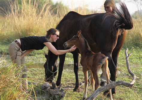 Can you see paul and tony? How To Get A Job In A Riding Safari Camp | GoAbroad.com