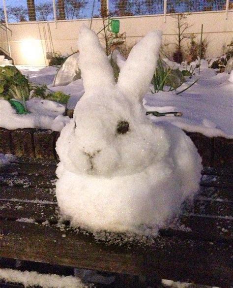 Check out our snow sculpture selection for the very best in unique or custom, handmade pieces from our sculpture shops. ゆ き on | Snow fun, Snow animals, Snow art