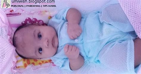 Untuk mendapatkan rotan berkualitas bagus, diperlukan upaya tebang pilih. Buaian Baby Cara Mudah Tidurkan Bayi