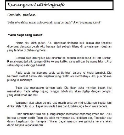 Pada suatu hari,tuan saya pulang dengan membawa sepasang kasut baru. Autobiografi: Aku Sepasang Kasut - Pusat Tuisyen Inovasi ...