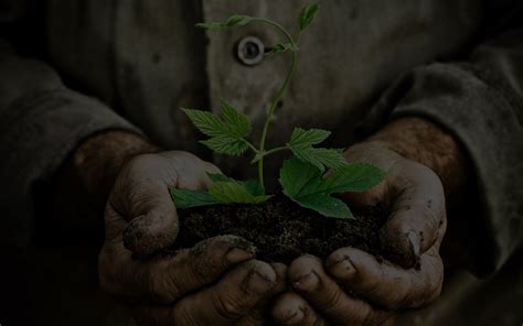 Последние твиты от resource recycling (@rrecycling). RBK Recycling