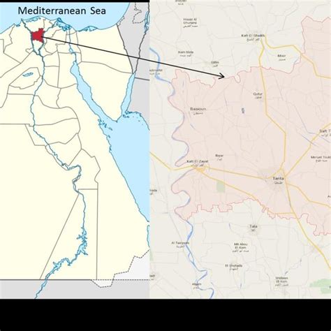 Gharbia governorate is one of the governorates of egypt. (PDF) Identification of Brucella spp. and Assessing Impact ...