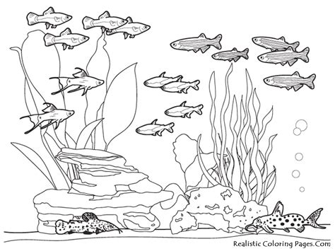 Did you know the ocean covers 71% of the earth's surface and that 95% of it remains unexplored! Underwater coloring pages to download and print for free