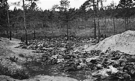 An examination of the soviet slaughter of thousands of polish officers and citizens in the katyn forest. Katyn forest. Place of Katyń massacre