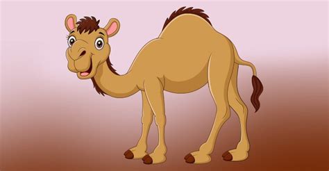 It has two humps, and longer hair for living in cold climates. Number Rhymes For Kids, Number Songs For Preschoolers ...