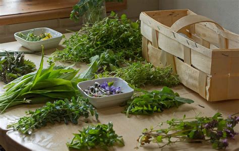 #gruendonnerstag #drunterdonnerstag schönen guten morgen. Gründonnerstag-Suppe - Rezept aus der Herbal Hunter ...