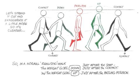 When i used to teach animation and we were covering the walk cycle, i would tell my students to have the highest point of the arm swing come at the i recently took a look at richard williams, however, and i noticed that he has the highest point of the arm swing come at the landing position. walk cycle\ | Drawings and things to draw | Pinterest