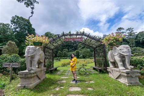 From orangutan nature reserves to luxury beachfront resorts; Borneo Highland Resort - A Least Known Attraction in ...