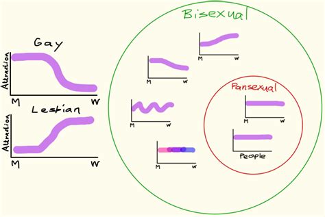 See a recent post on tumblr from @p0ssiblyinmichig4n about pansexual. Skeptic's Play: Pansexuality and its two meanings