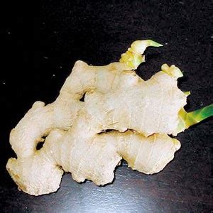 Halia bara menjadi ramuan penting di dalam masakan untuk menyedapkan rasa makanan, selain kebaikan perubatan. Its me... Deeda: Khasiat Halia
