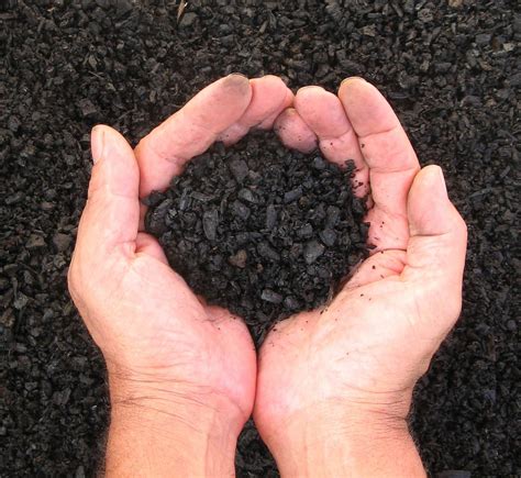 Biochar is slightly alkaline, and soil scientists don't yet know how it affects. Our Permaculture Life: Improve Your Garden Soil and Food ...