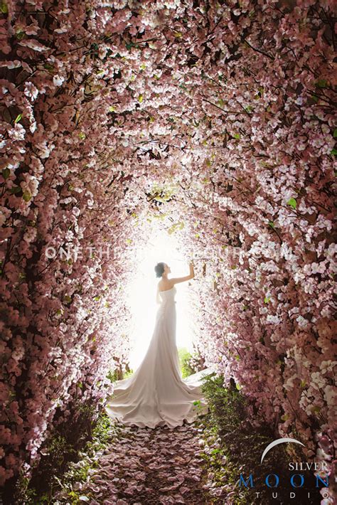 For us, now is the perfect opportunity change direction and find new creative outlets. Korean Studio Pre-Wedding Photography: Floral Concept | Silver Moon Studio | OneThreeOneFour