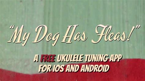 You can go download it on your smartphone right now, and start tuning! "My Dog Has Fleas!" Free Ukulele Tuner App for iOS and ...