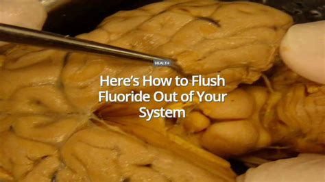 Flushing marijuana out of the system prior to the test increases the odds of the user keeping or securing their employment. Here's How to Flush Fluoride Out of Your System - YouTube