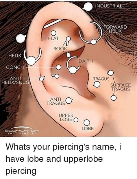 Bound bead ring, covering inner and outer ear area would look a tougher piercing area would bring more pain. Pin on Body Modification