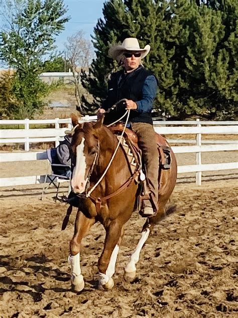 Find the 12 differences between the original photograph, top, and the altered photograph, center. Ranch Versatility Clinic July 31st & August 1st, 2021 ...