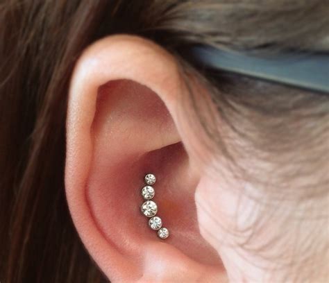 The conch, which gets its name from the ear's resemblance to a conch shell, is the inner cup part of your ear. 80+ Inner and Outer Conch Piercing Ideas You Can't go ...