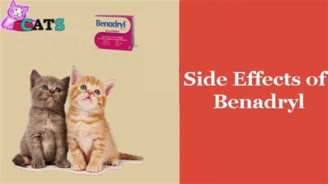 Benadryl comes in 25 milligram and 50 milligram capsules dosage, side effects and effectiveness. Benadryl for Cats, Side Effects | Allergies | Usage