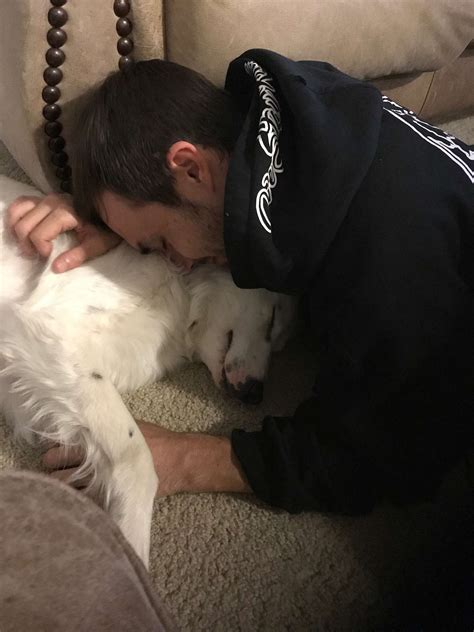 Portail de la campagne de vaccination contre le coronavirus : Ce chien retrouvé malade et brûlé a fait craquer son ...