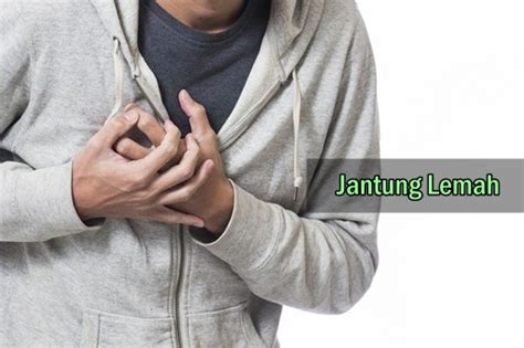 Tak hanya itu, para pengidap lemah jantung juga disarankan untuk tidak mengonsumsi minuman bersoda dan kafein saat berkendara. Kumpulan Makanan Yang Baik Untuk Menguatkan Jantung Lemah ...