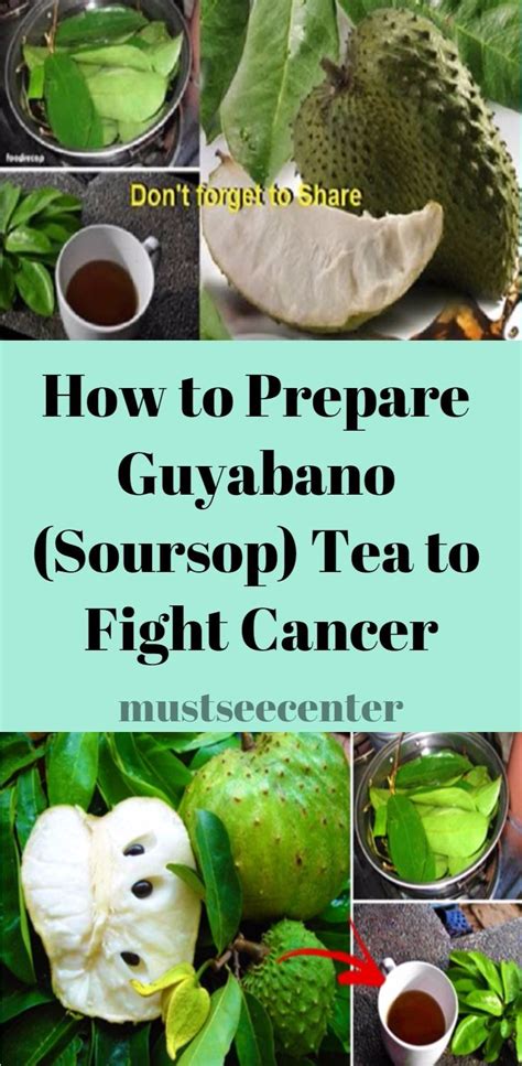 Maybe you would like to learn more about one of these? HOW TO PREPARE GUYABANO (SOURSOP) TEA TO FIGHT CANCER ...